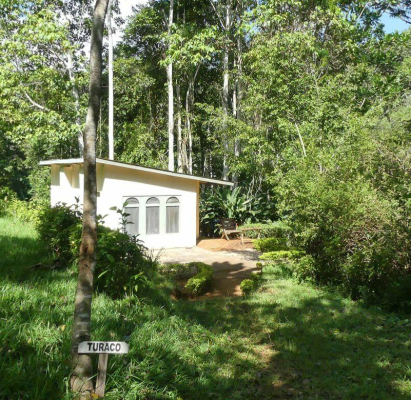 Emau Hill Forest Camp