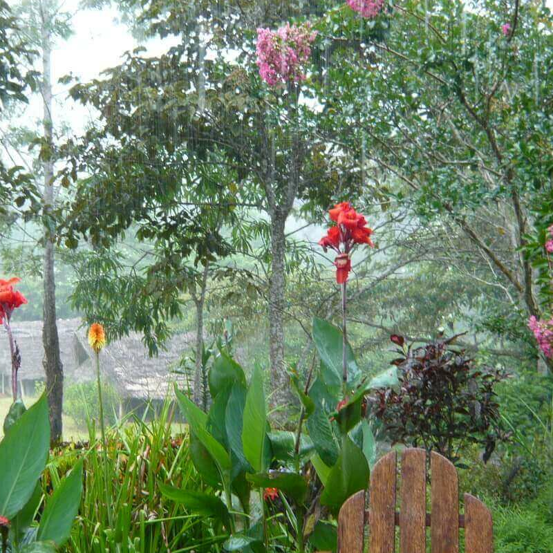 Emau Hill Forest Camp