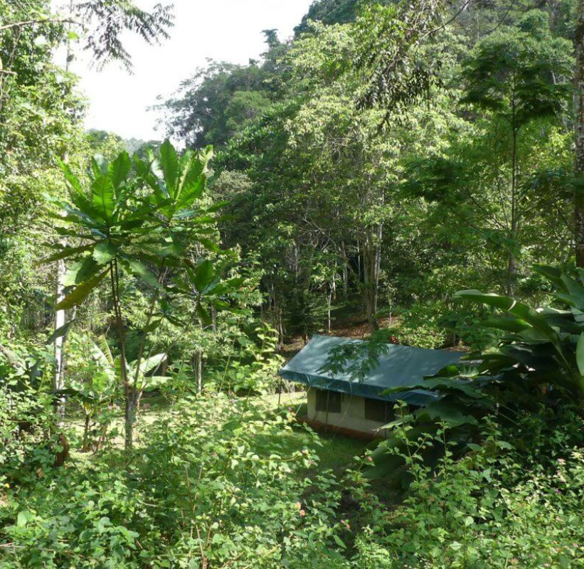 Emau Hill Forest Camp
