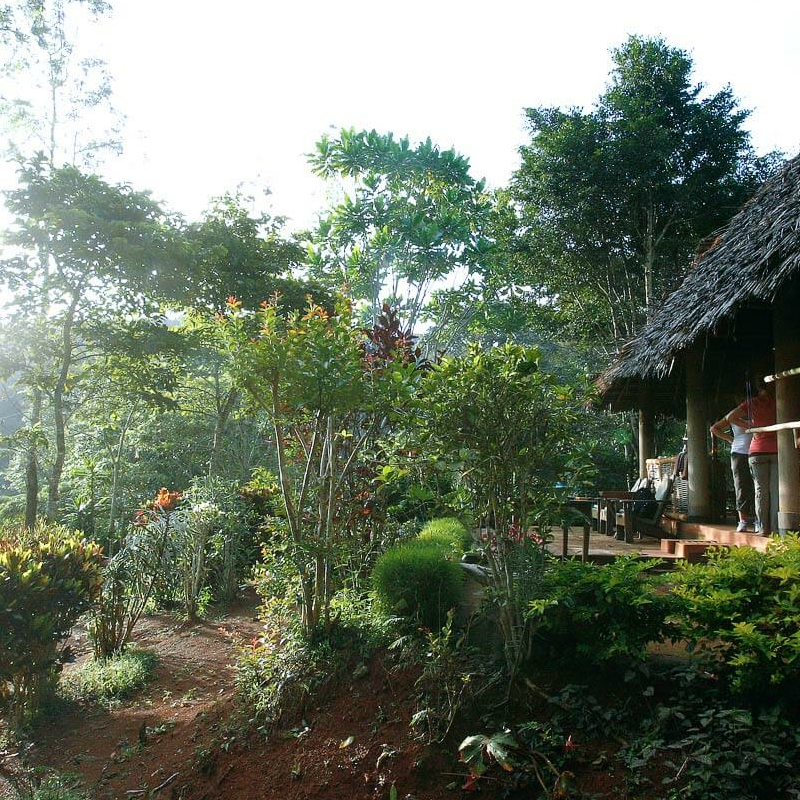 Emau Hill Forest Camp