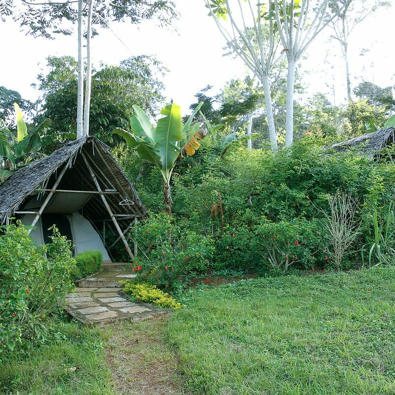 Emau Hill Forest Camp