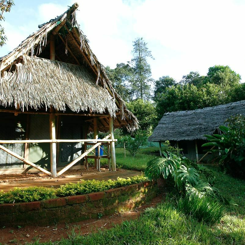 Emau Hill Forest Camp