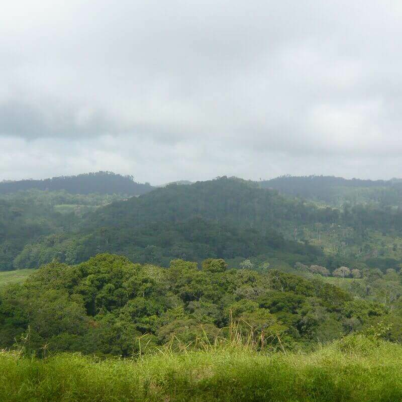 Emau Hill Forest Camp