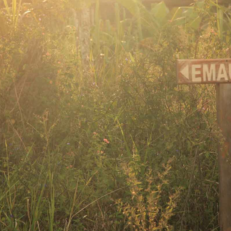 Emau Hill Forest Camp