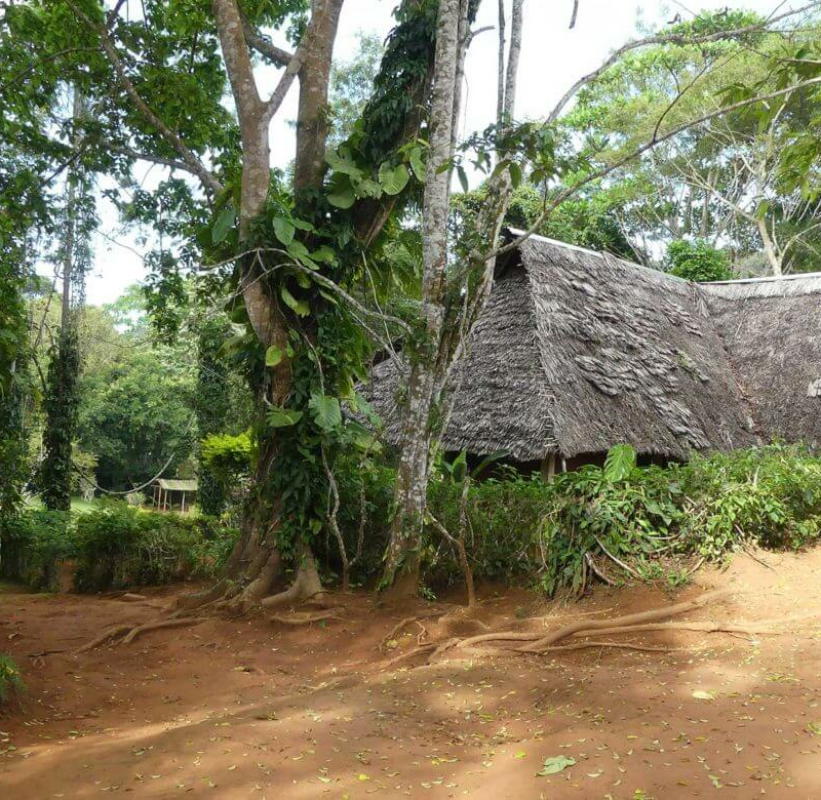 Emau Hill Forest Camp