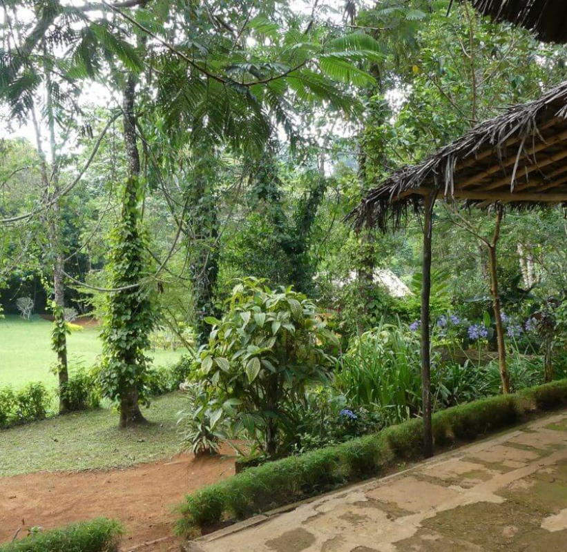 Emau Hill Forest Camp