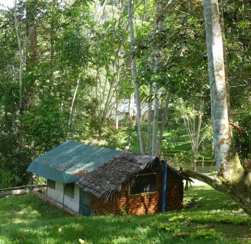 Emau Hill Forest Camp