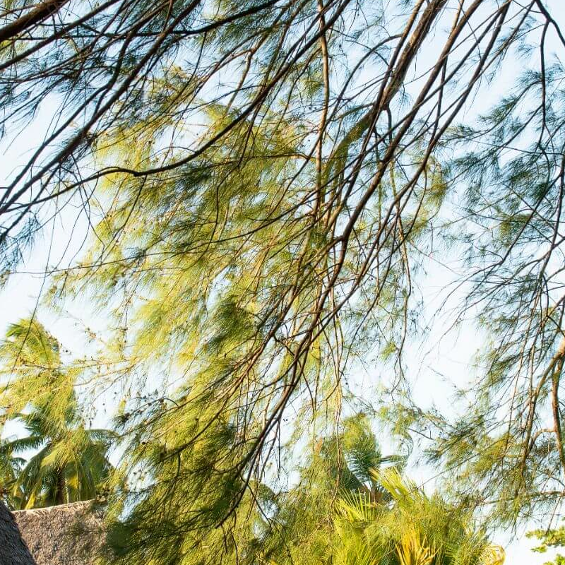 Emayani Beach Lodge