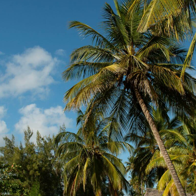 Emayani Beach Lodge