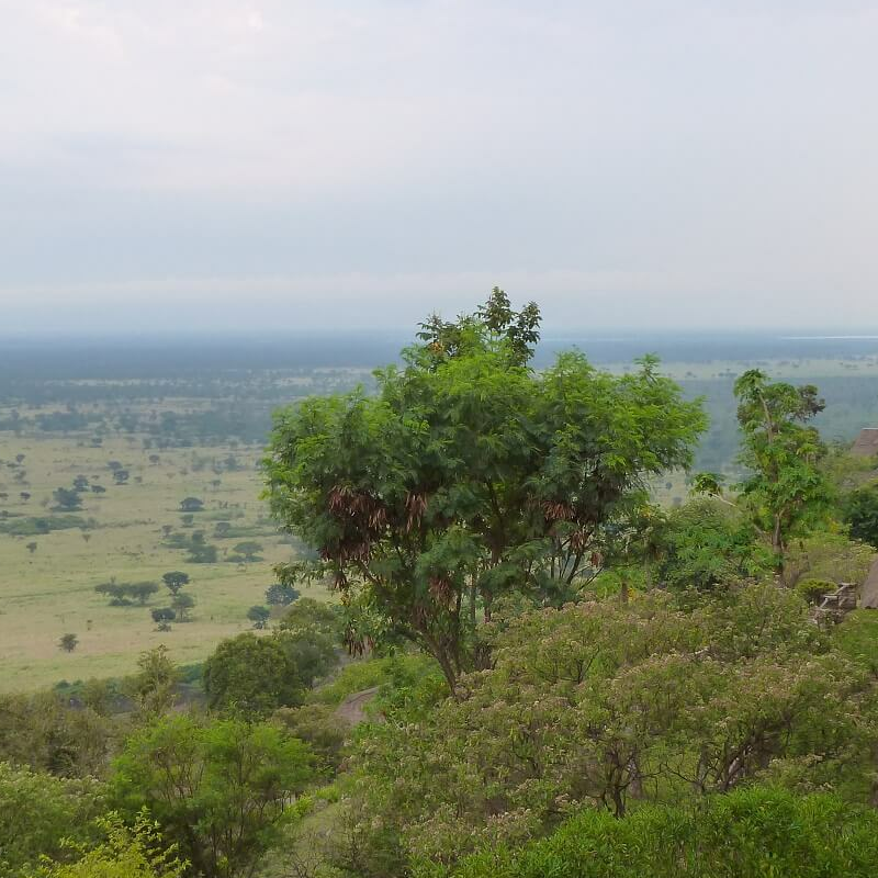Enganzi Game Lodge