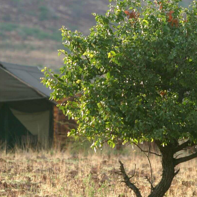 Etendeka Mountain Camp