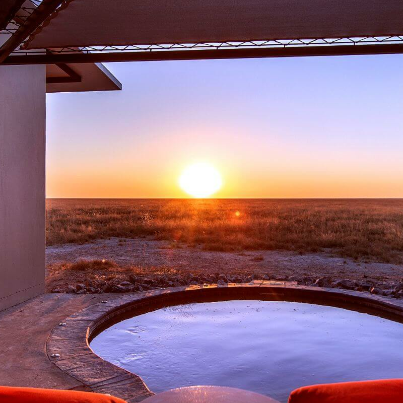 Etosha King Nehale