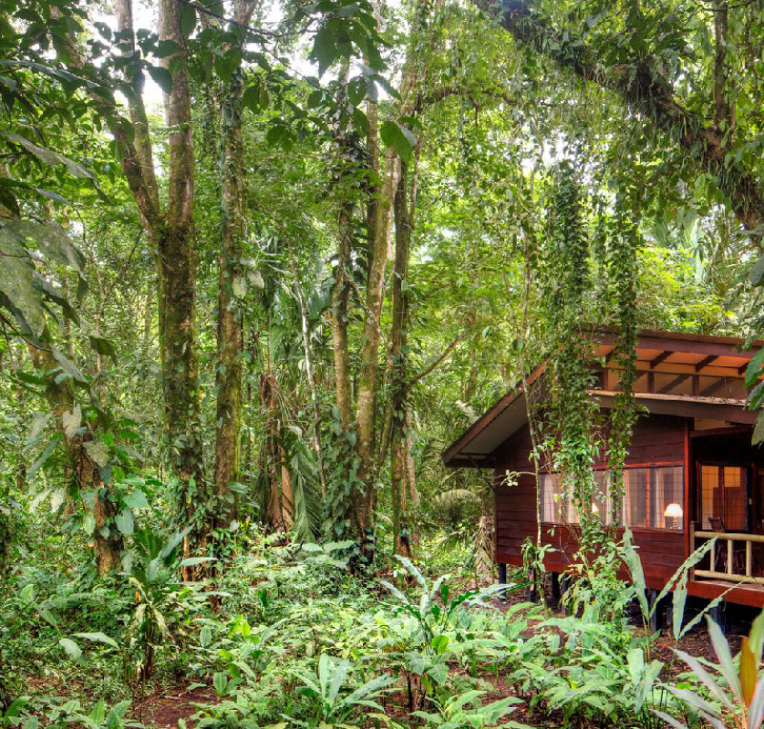 Evergreen Lodge