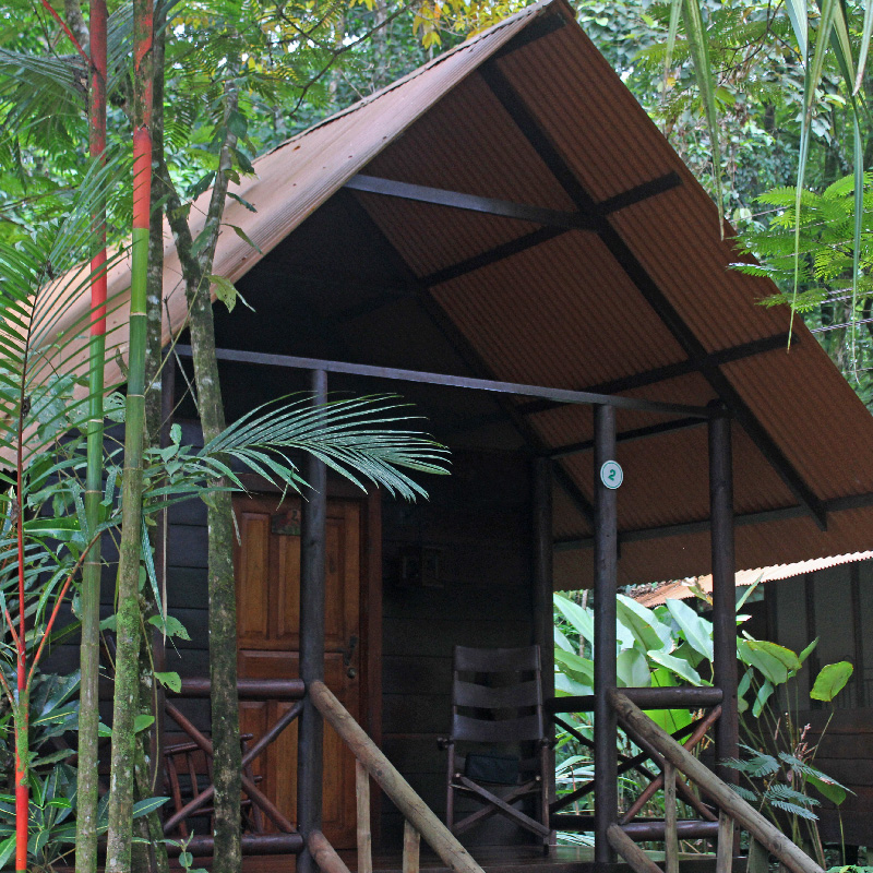 Evergreen Lodge