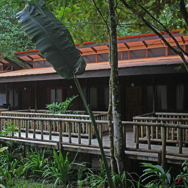 Evergreen Lodge