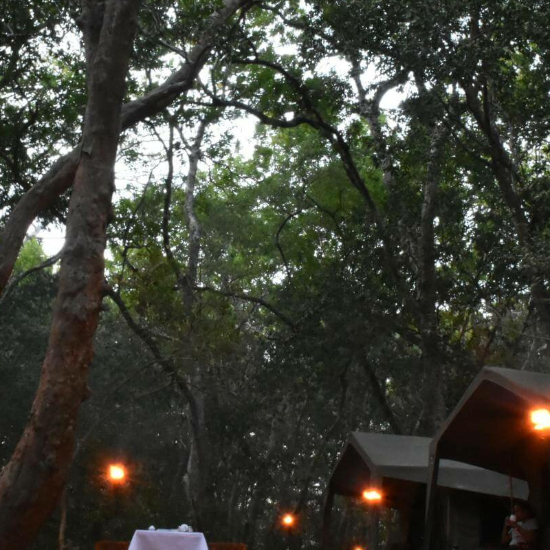 Explorer Kumana Camp