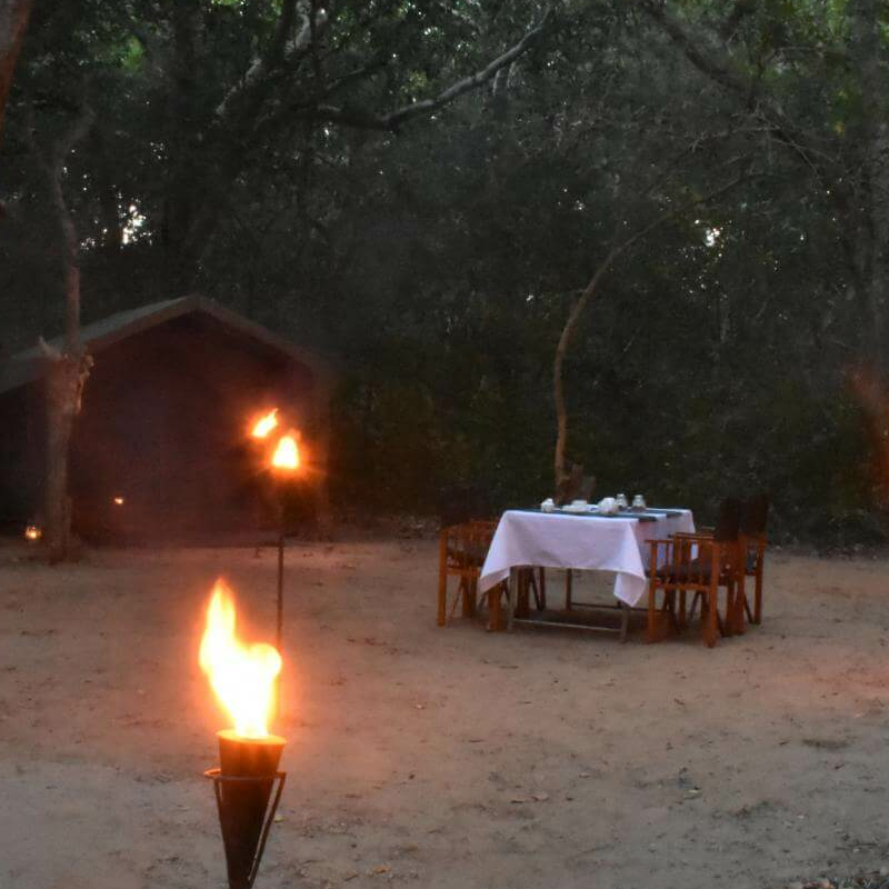 Explorer Kumana Camp