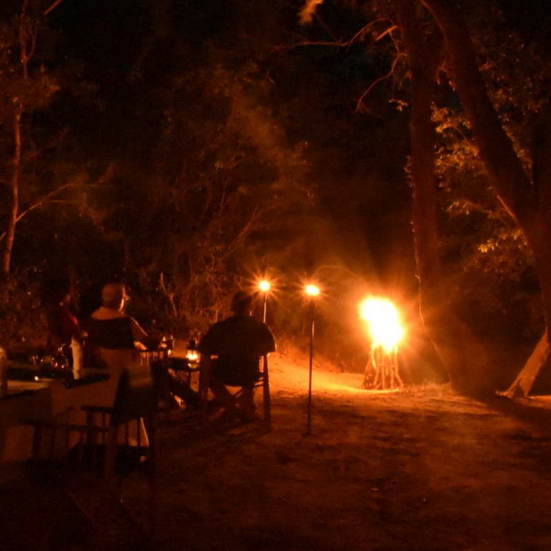 Explorer Kumana Camp