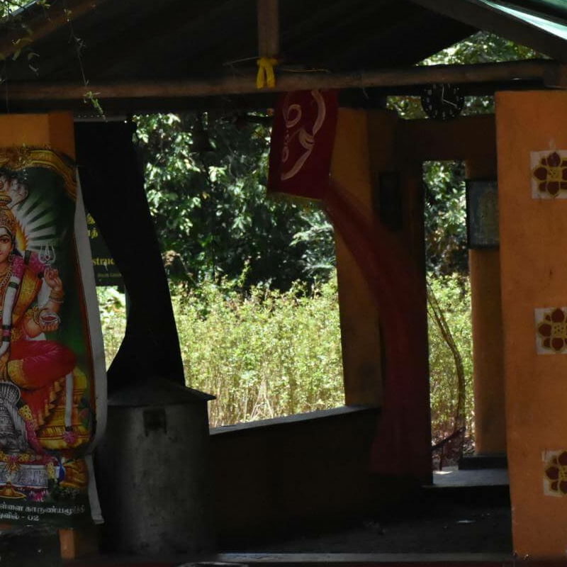 Explorer Kumana Camp