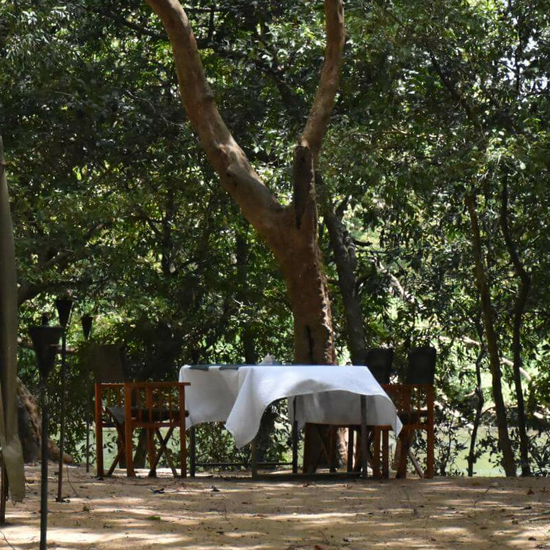 Explorer Kumana Camp