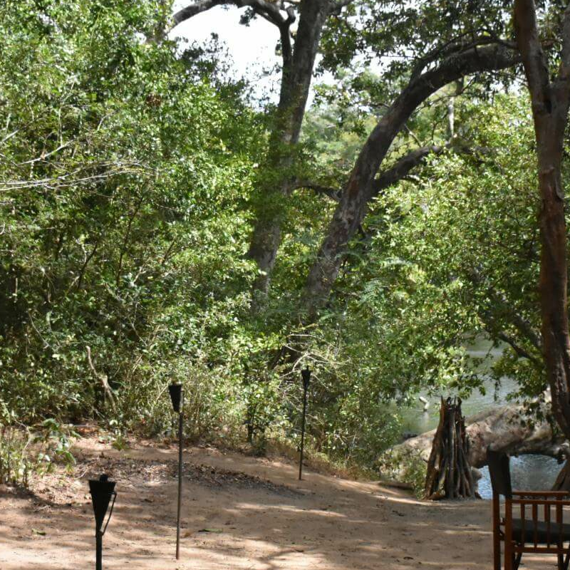 Explorer Kumana Camp