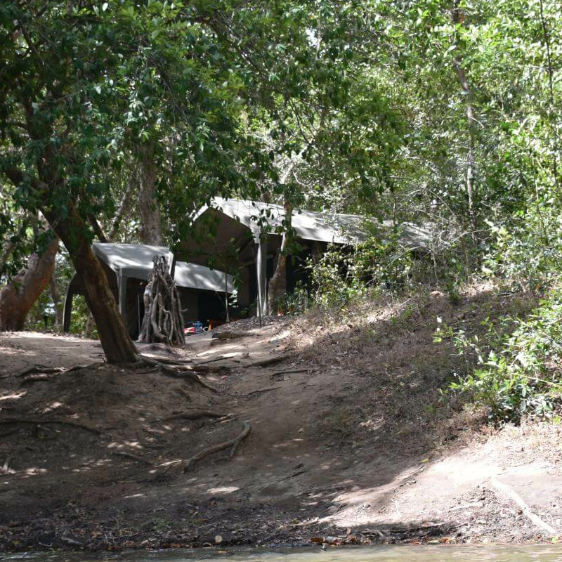 Explorer Kumana Camp