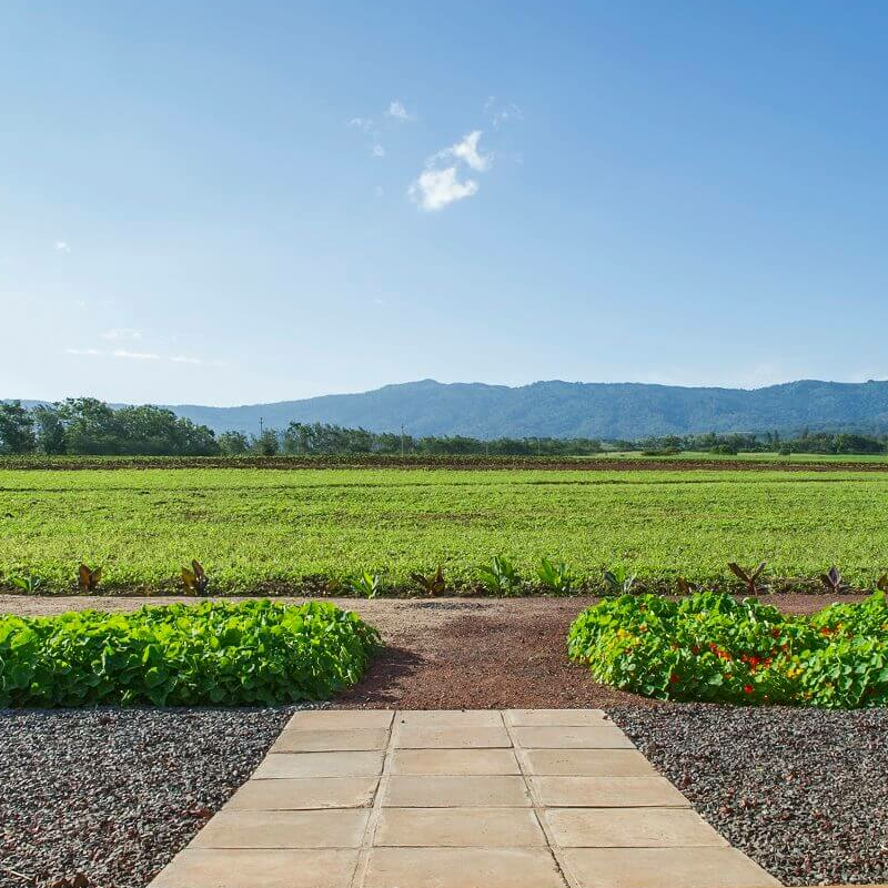 Farm House Valley Lodge