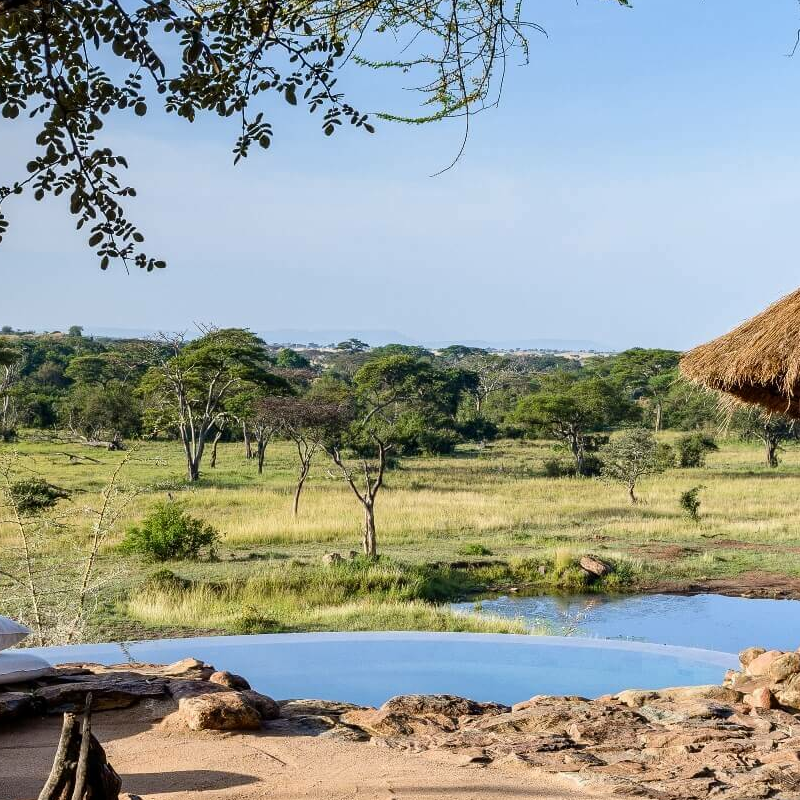 Faru Faru Lodge