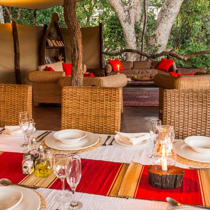 Fig Tree Bush Camp