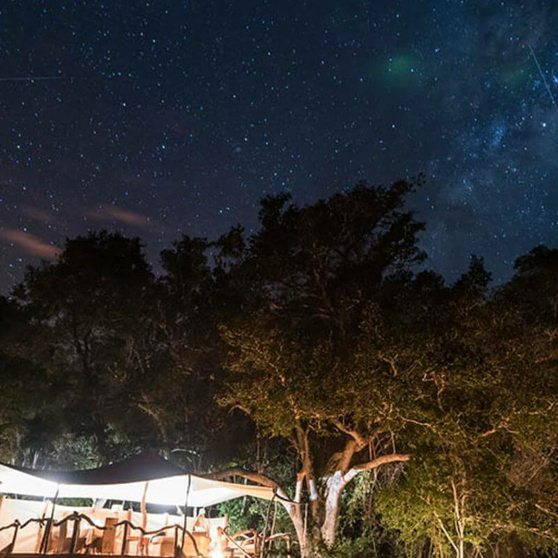 Fig Tree Bush Camp