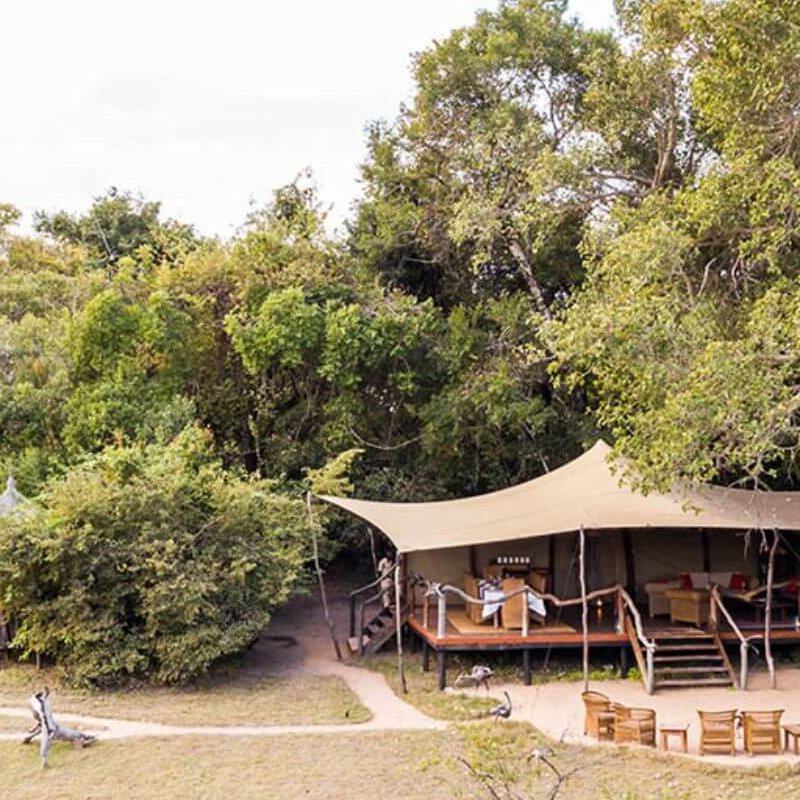 Fig Tree Bush Camp