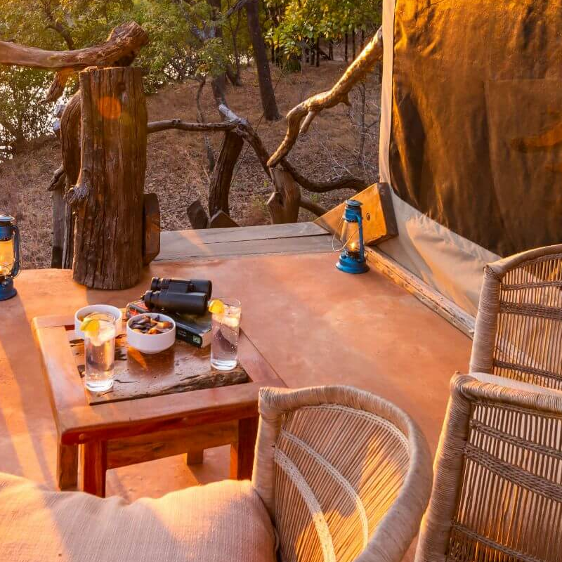 Fig Tree Bush Camp