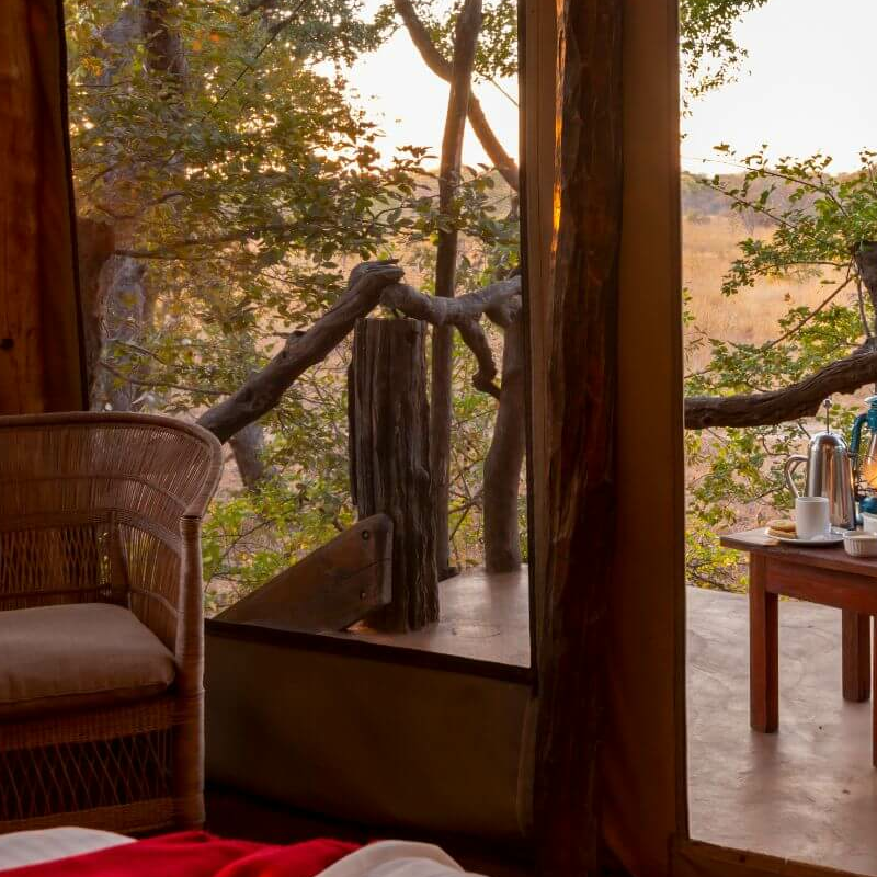 Fig Tree Bush Camp