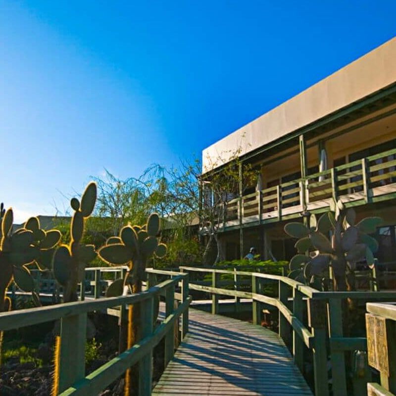 Finch Bay Hotel
