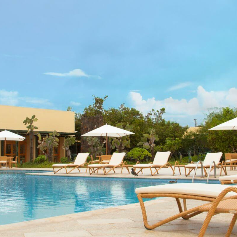 Finch Bay Hotel