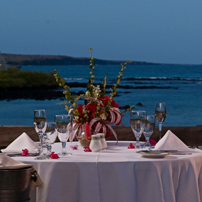 Finch Bay Hotel