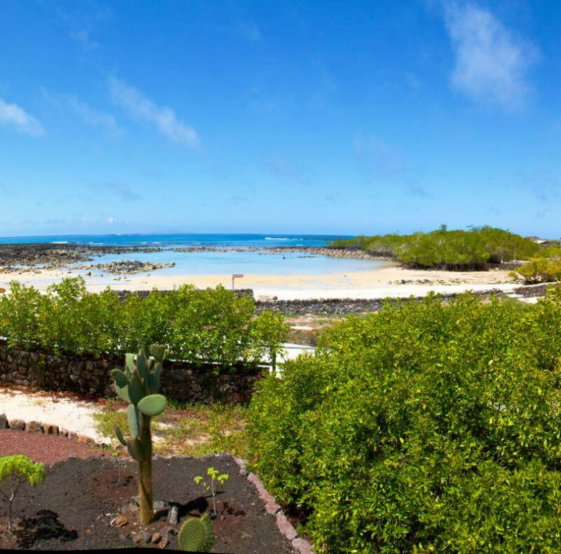 Finch Bay Hotel