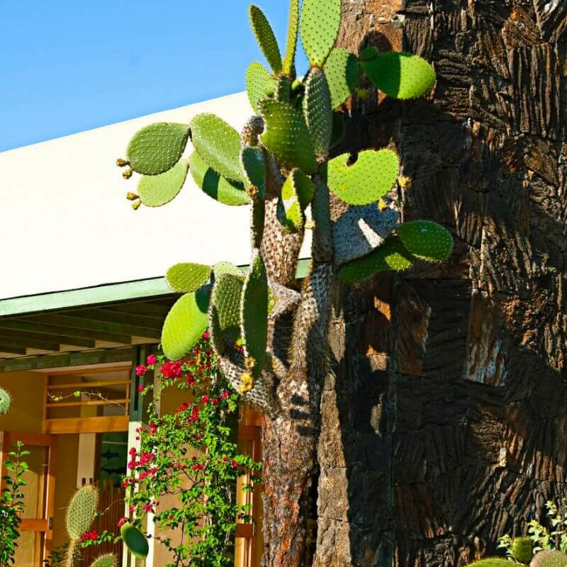 Finch Bay Hotel