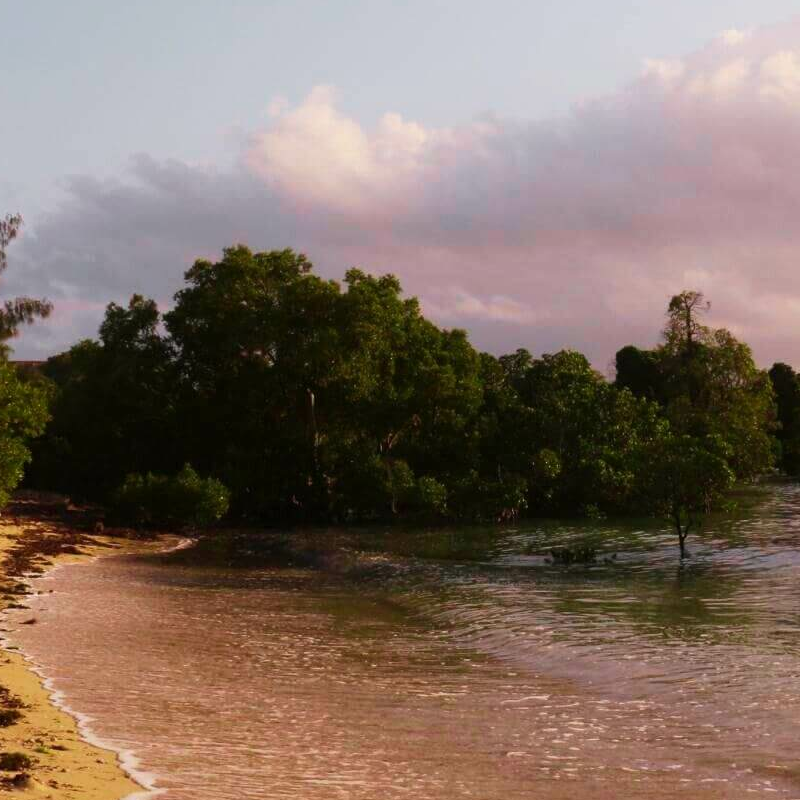 Fish Eagle Point