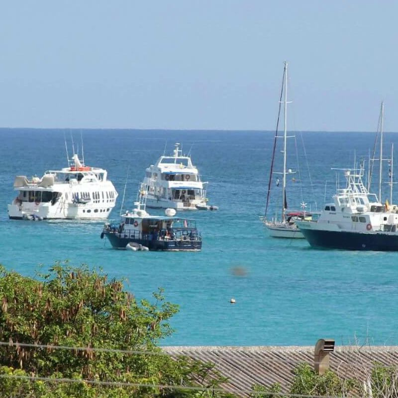 Galapagos Pearl Suites