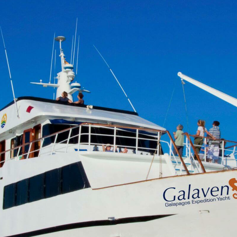 Galaven