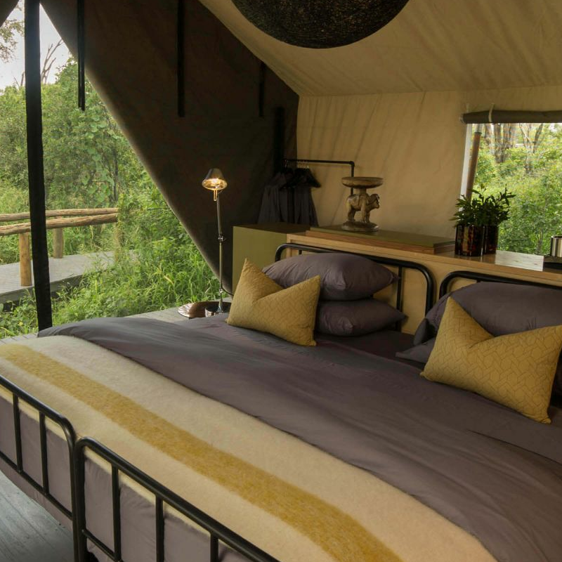 Gomoti Plains Camp