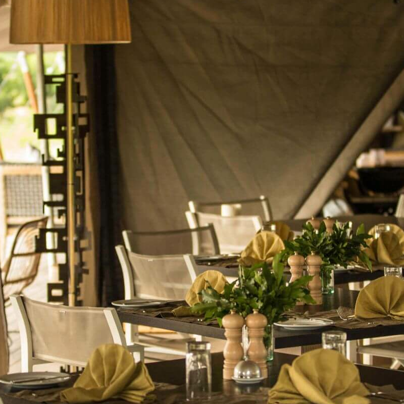 Gomoti Plains Camp