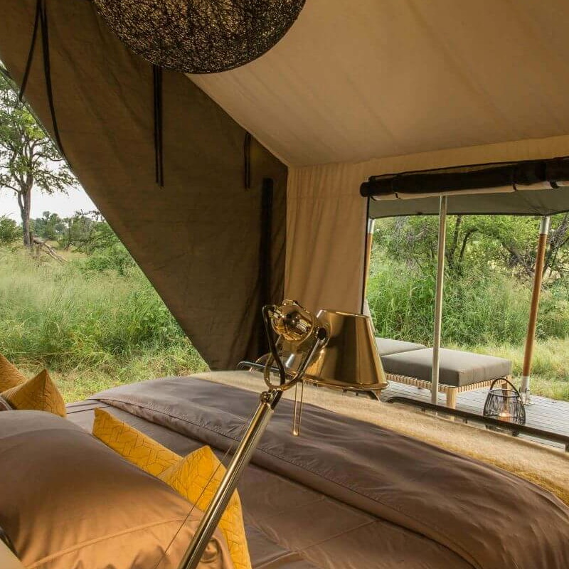 Gomoti Plains Camp