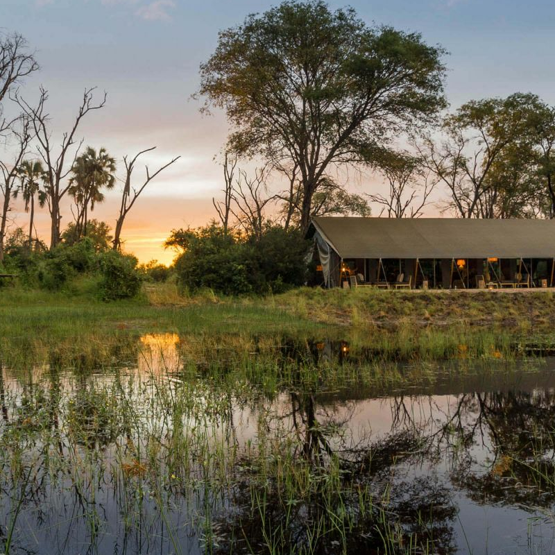 Gomoti Plains Camp