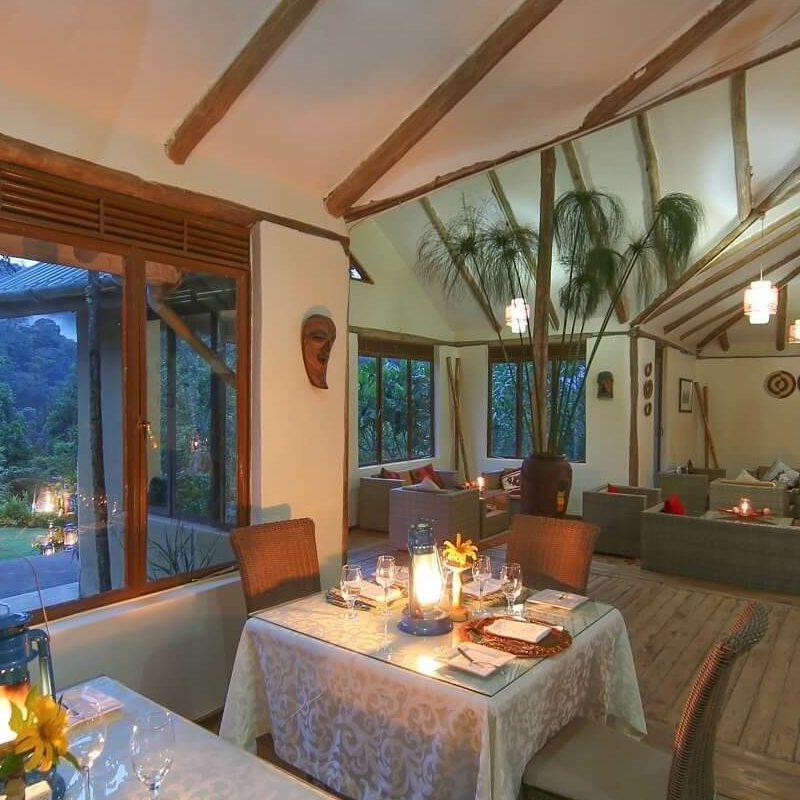 Gorilla Safari Lodge