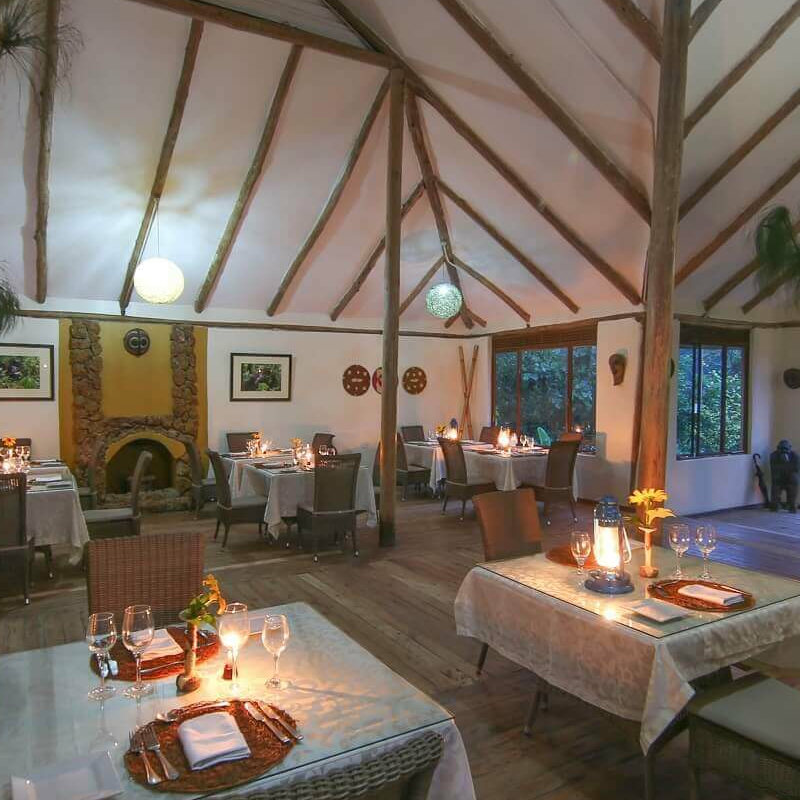 Gorilla Safari Lodge