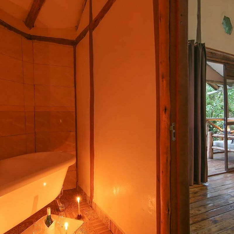 Gorilla Safari Lodge
