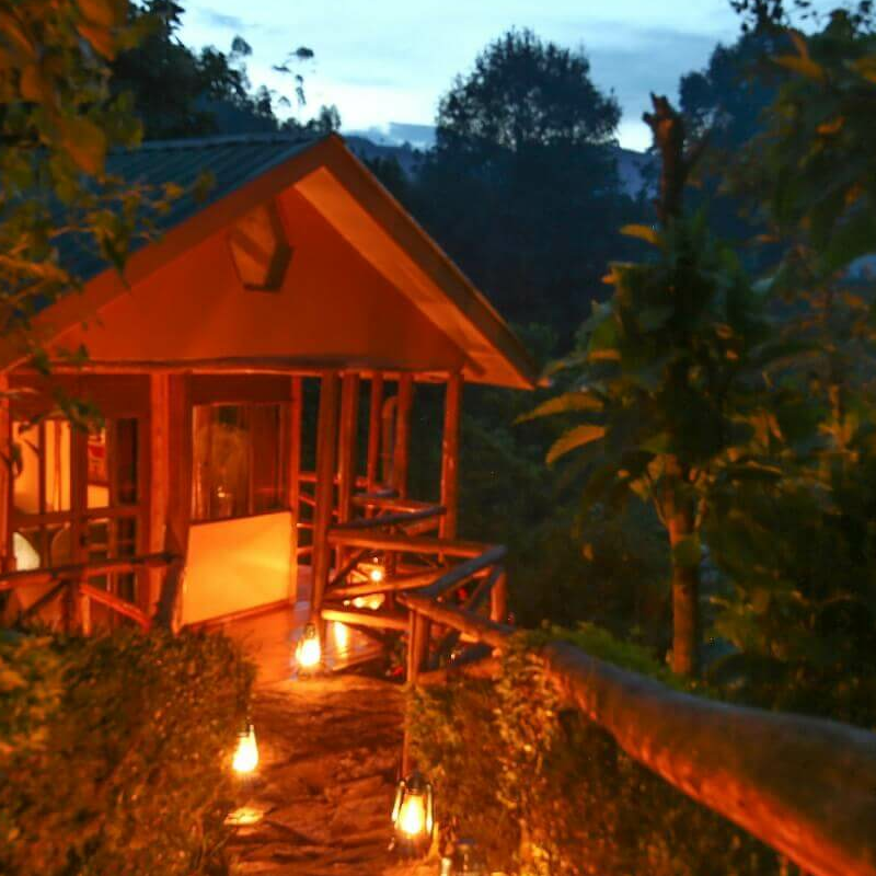 Gorilla Safari Lodge