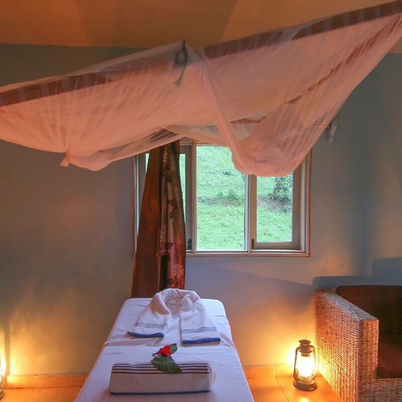 Gorilla Safari Lodge